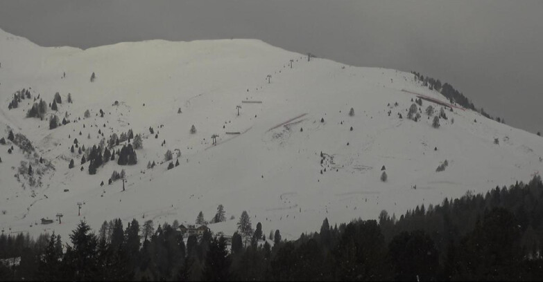 Webcam Bellamonte-Alpe Lusia  - Pista direttissima Le Cune