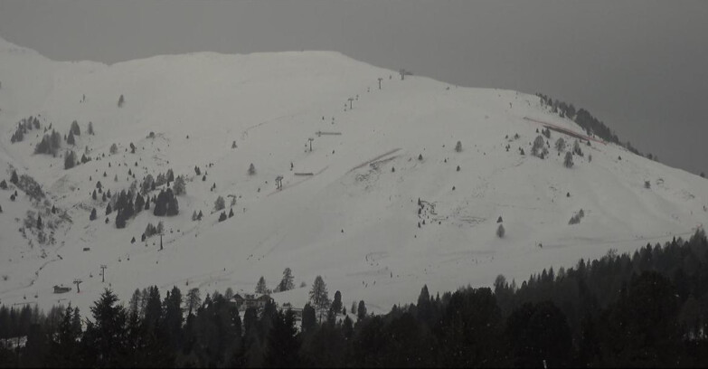 Webcam Bellamonte-Alpe Lusia  - Pista direttissima Le Cune