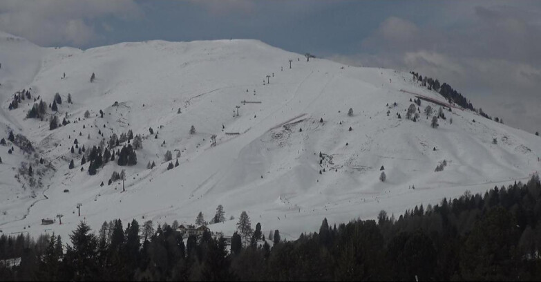 Webcam Bellamonte-Alpe Lusia  - Pista direttissima Le Cune
