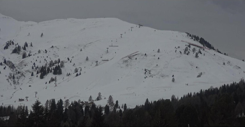 Webcam Bellamonte-Alpe Lusia  - Pista direttissima Le Cune