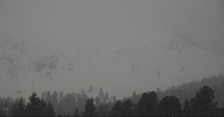 Webcam Bellamonte-Alpe Lusia  - Pista direttissima Le Cune