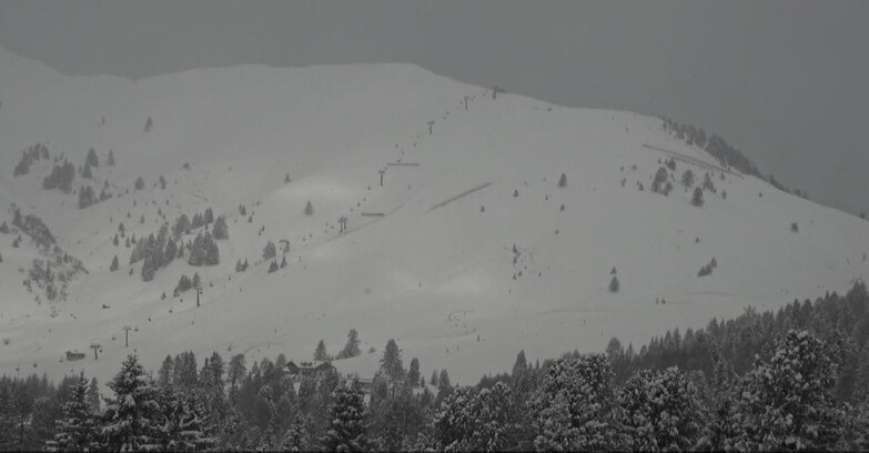 Webcam Белламонте-Альпе-Лусиа  - Pista direttissima Le Cune