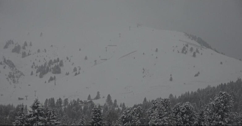 Webcam Белламонте-Альпе-Лусиа  - Pista direttissima Le Cune