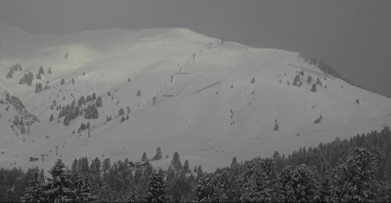 Webcam Белламонте-Альпе-Лусиа  - Pista direttissima Le Cune