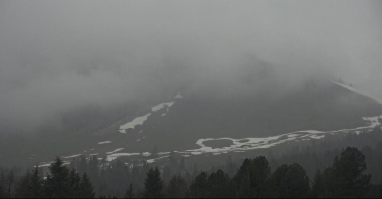 Webcam Bellamonte-Alpe Lusia - Pista direttissima Le Cune