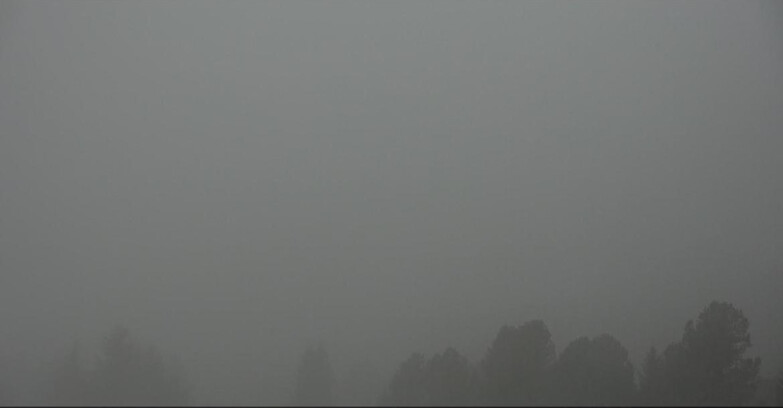 Webcam Bellamonte-Alpe Lusia - Pista direttissima Le Cune