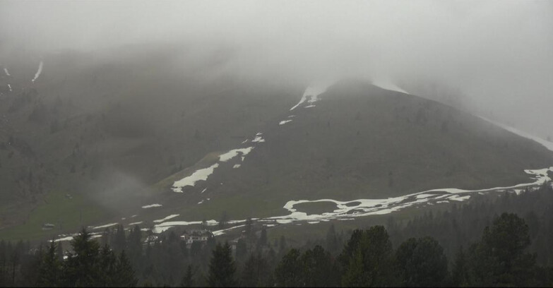 Webcam Bellamonte-Alpe Lusia - Pista direttissima Le Cune
