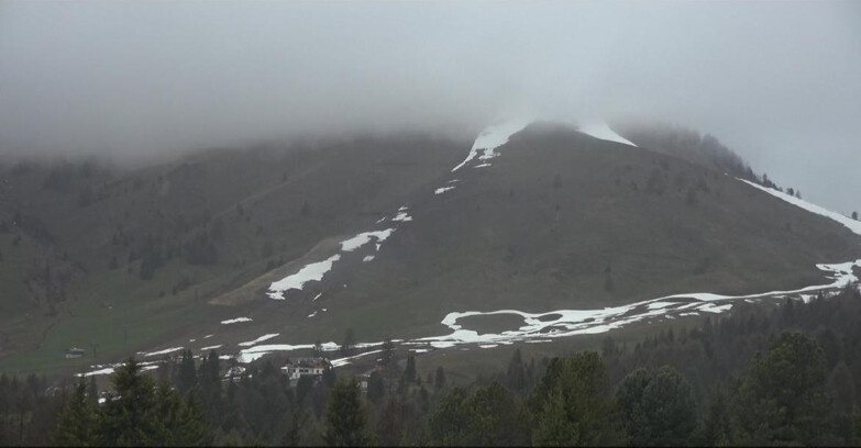 Webcam Bellamonte-Alpe Lusia - Pista direttissima Le Cune