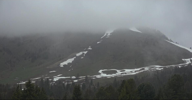 Webcam Bellamonte-Alpe Lusia - Pista direttissima Le Cune