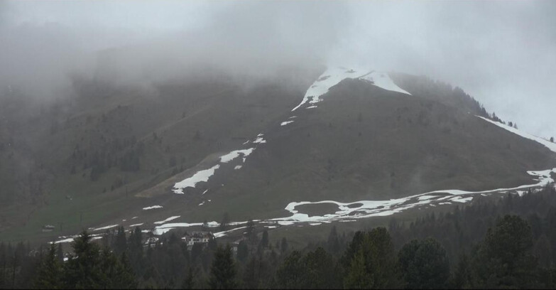 Webcam Bellamonte-Alpe Lusia - Pista direttissima Le Cune