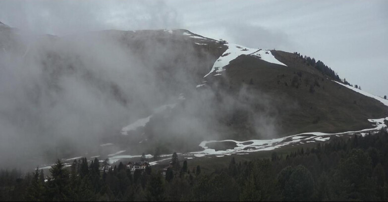 Webcam Bellamonte-Alpe Lusia - Pista direttissima Le Cune