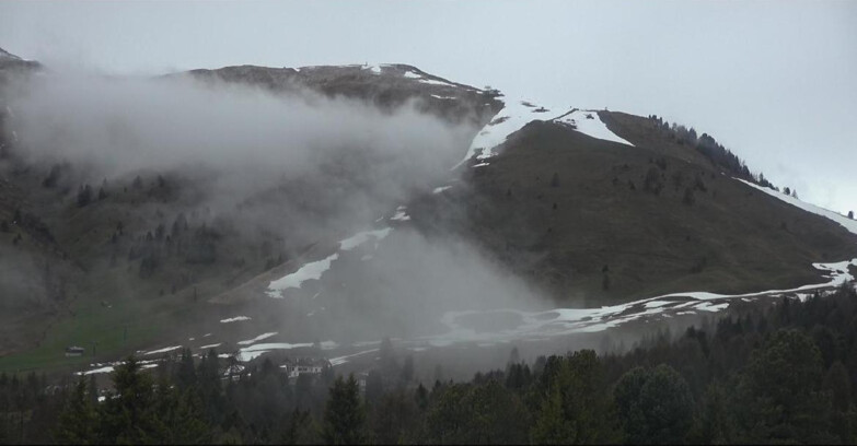 Webcam Bellamonte-Alpe Lusia - Pista direttissima Le Cune