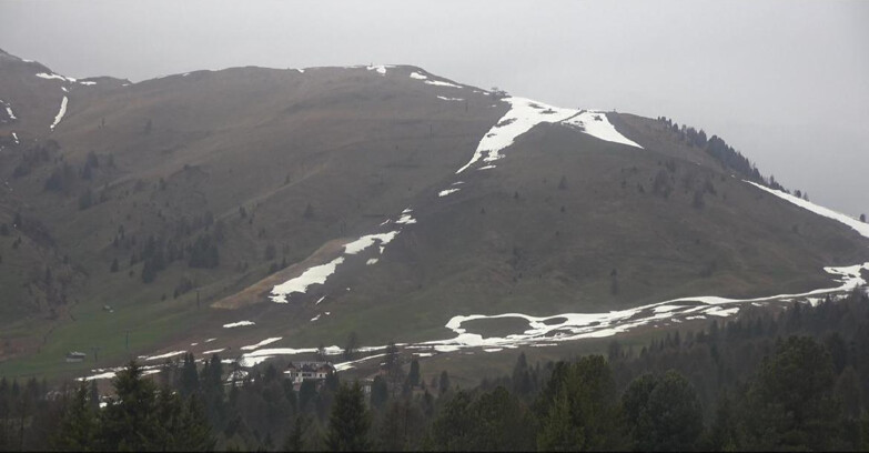 Webcam Bellamonte-Alpe Lusia - Pista direttissima Le Cune