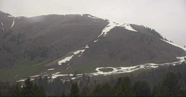 Webcam Bellamonte-Alpe Lusia - Pista direttissima Le Cune