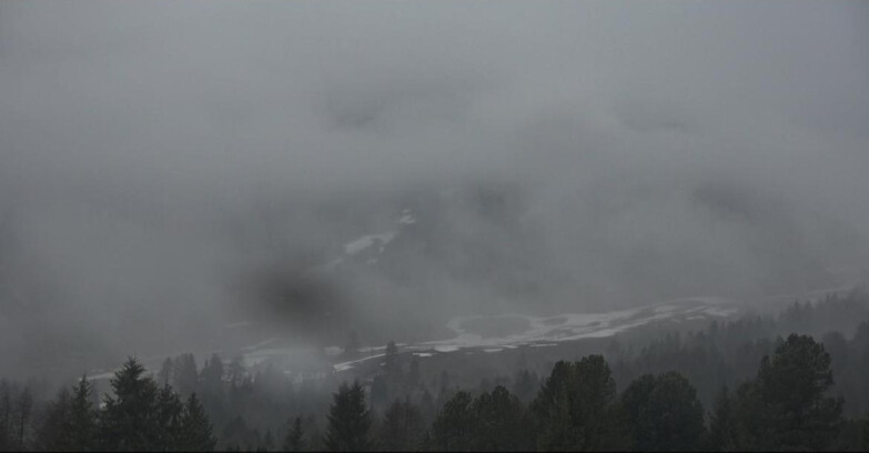 Webcam Bellamonte-Alpe Lusia - Pista direttissima Le Cune