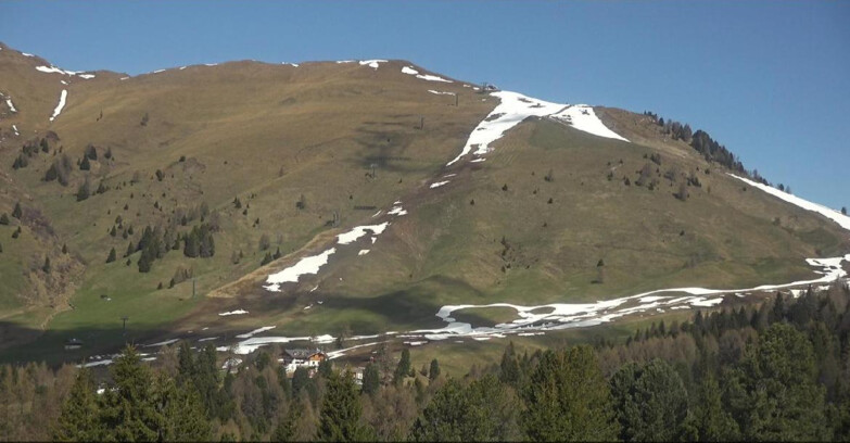 Webcam Bellamonte-Alpe Lusia  - Pista direttissima Le Cune