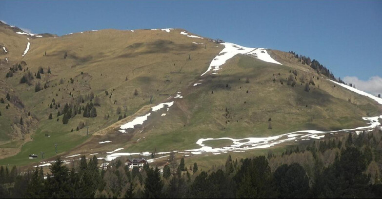 Webcam Bellamonte-Alpe Lusia  - Pista direttissima Le Cune