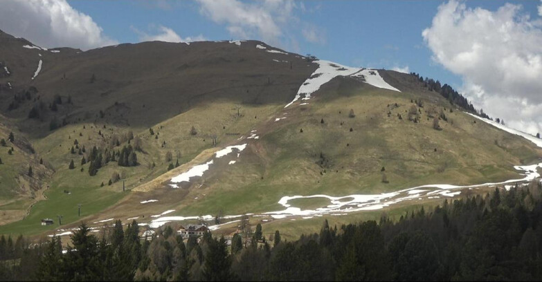 Webcam Bellamonte-Alpe Lusia  - Pista direttissima Le Cune