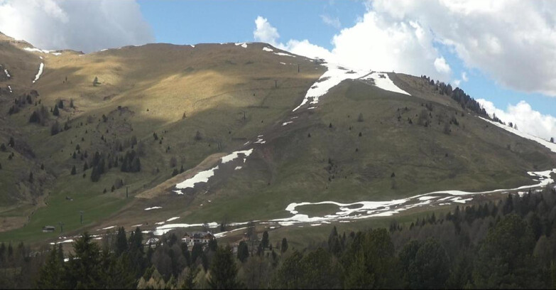 Webcam Bellamonte-Alpe Lusia  - Pista direttissima Le Cune