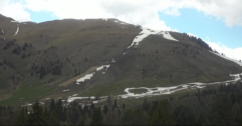 Webcam Bellamonte-Alpe Lusia  - Pista direttissima Le Cune
