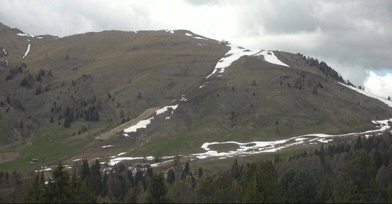 Webcam Bellamonte-Alpe Lusia  - Pista direttissima Le Cune