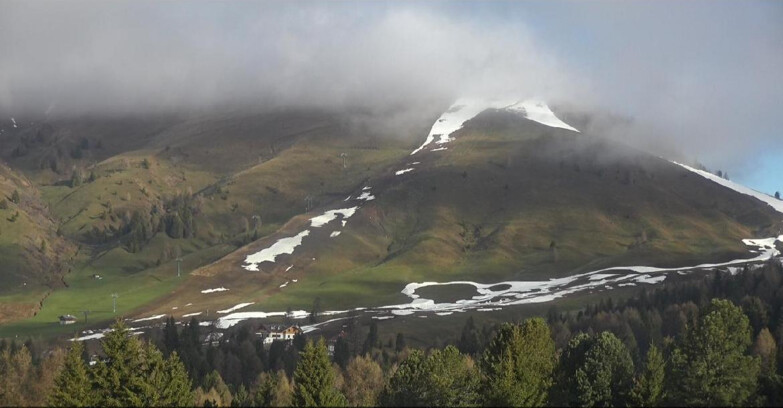 Webcam Bellamonte-Alpe Lusia  - Pista direttissima Le Cune
