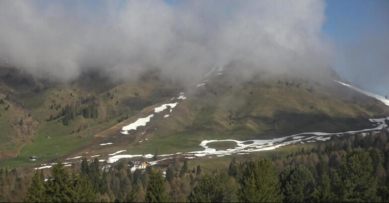 Webcam Bellamonte-Alpe Lusia  - Pista direttissima Le Cune