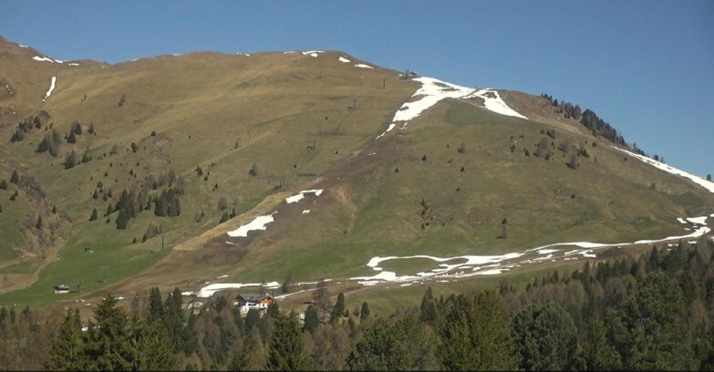 Webcam Bellamonte-Alpe Lusia - Pista direttissima Le Cune