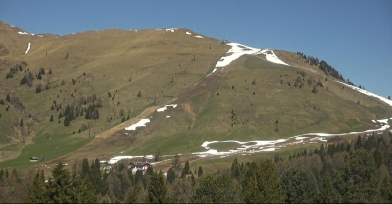Webcam Bellamonte-Alpe Lusia - Pista direttissima Le Cune