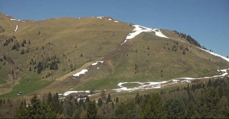 Webcam Bellamonte-Alpe Lusia - Pista direttissima Le Cune