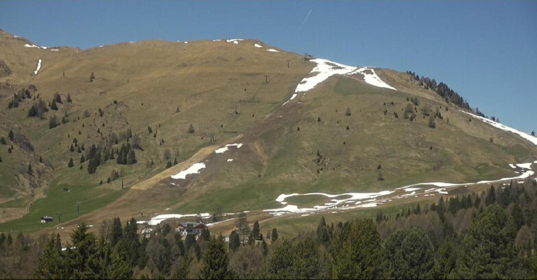 Webcam Bellamonte-Alpe Lusia - Pista direttissima Le Cune