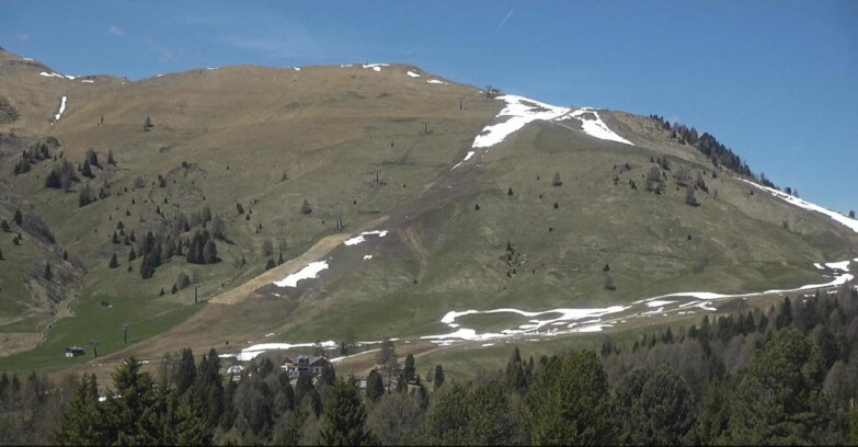 Webcam Bellamonte-Alpe Lusia - Pista direttissima Le Cune