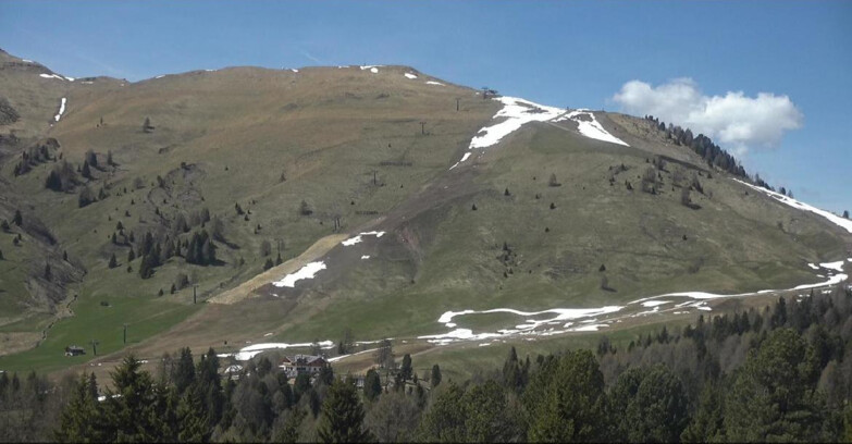 Webcam Bellamonte-Alpe Lusia - Pista direttissima Le Cune