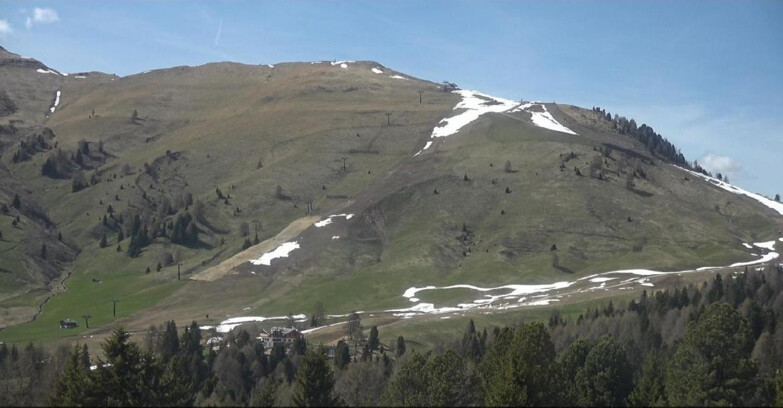 Webcam Bellamonte-Alpe Lusia - Pista direttissima Le Cune