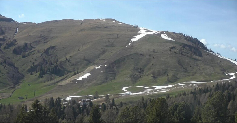 Webcam Bellamonte-Alpe Lusia - Pista direttissima Le Cune