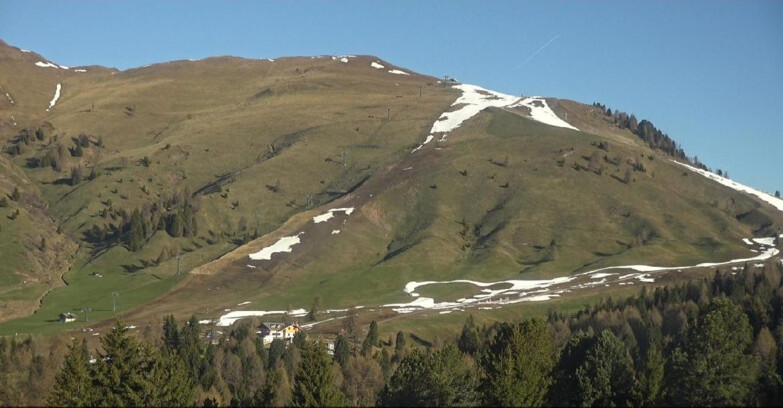 Webcam Bellamonte-Alpe Lusia - Pista direttissima Le Cune
