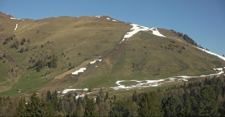 Webcam Bellamonte-Alpe Lusia - Pista direttissima Le Cune