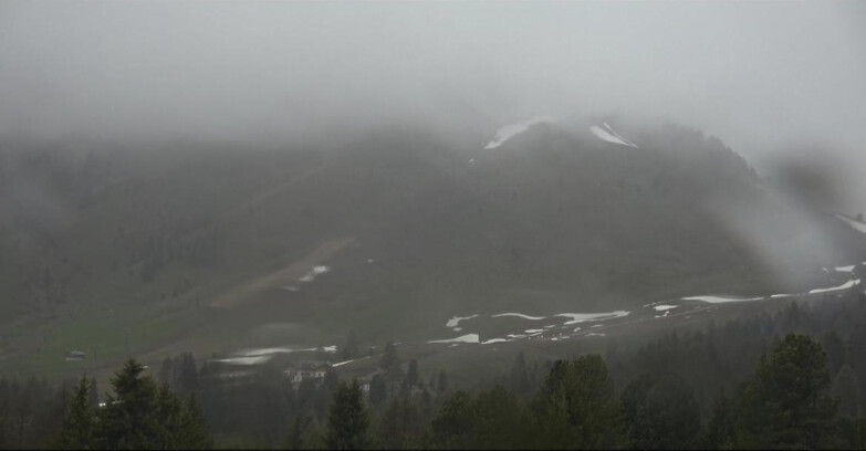 Webcam Bellamonte-Alpe Lusia  - Pista direttissima Le Cune