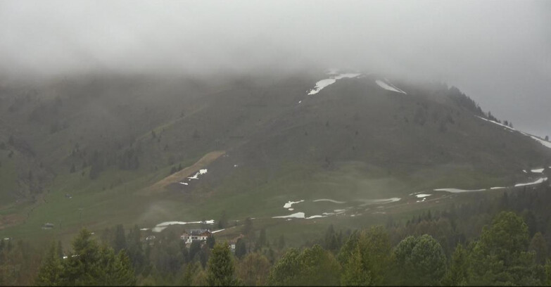 Webcam Bellamonte-Alpe Lusia  - Pista direttissima Le Cune