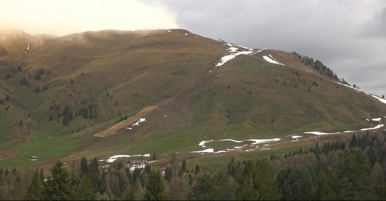 Webcam Bellamonte-Alpe Lusia  - Pista direttissima Le Cune