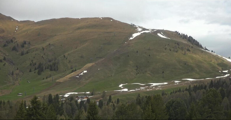 Webcam Bellamonte-Alpe Lusia  - Pista direttissima Le Cune