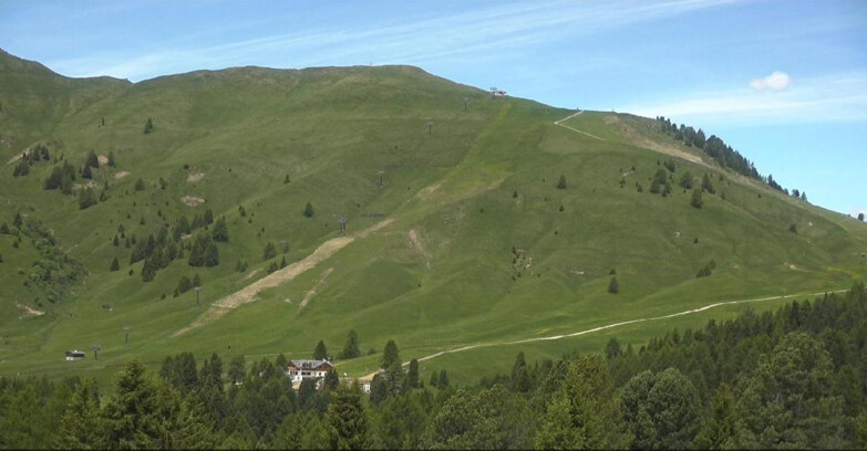 Webcam Bellamonte-Alpe Lusia  - Pista direttissima Le Cune
