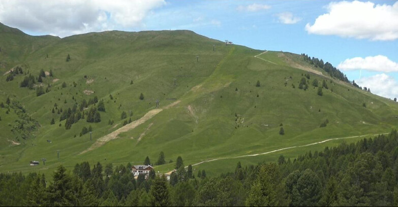 Webcam Bellamonte-Alpe Lusia  - Pista direttissima Le Cune