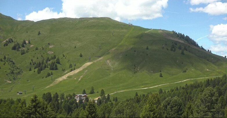 Webcam Bellamonte-Alpe Lusia  - Pista direttissima Le Cune