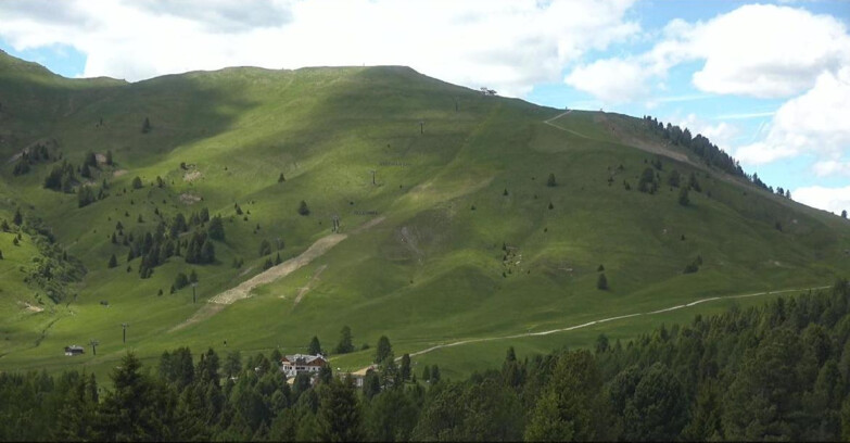 Webcam Bellamonte-Alpe Lusia  - Pista direttissima Le Cune