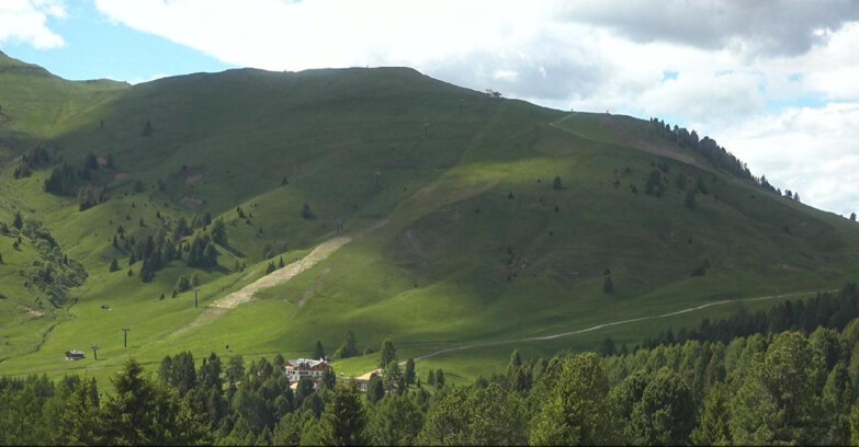 Webcam Bellamonte-Alpe Lusia  - Pista direttissima Le Cune