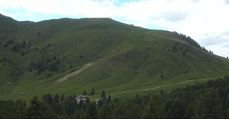 Webcam Bellamonte-Alpe Lusia  - Pista direttissima Le Cune