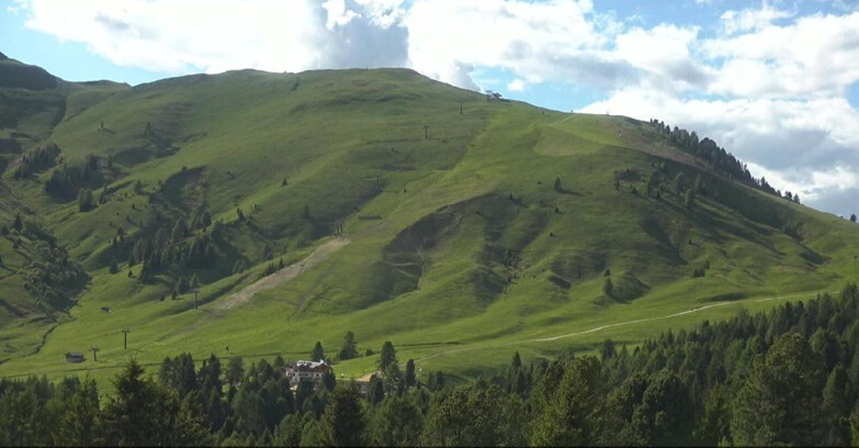 Webcam Bellamonte-Alpe Lusia  - Pista direttissima Le Cune