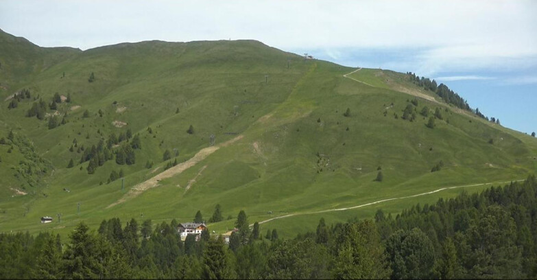 Webcam Bellamonte-Alpe Lusia - Pista direttissima Le Cune