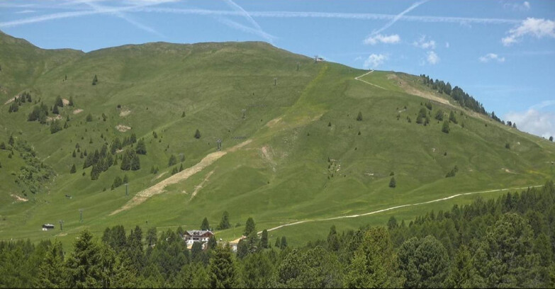 Webcam Bellamonte-Alpe Lusia - Pista direttissima Le Cune